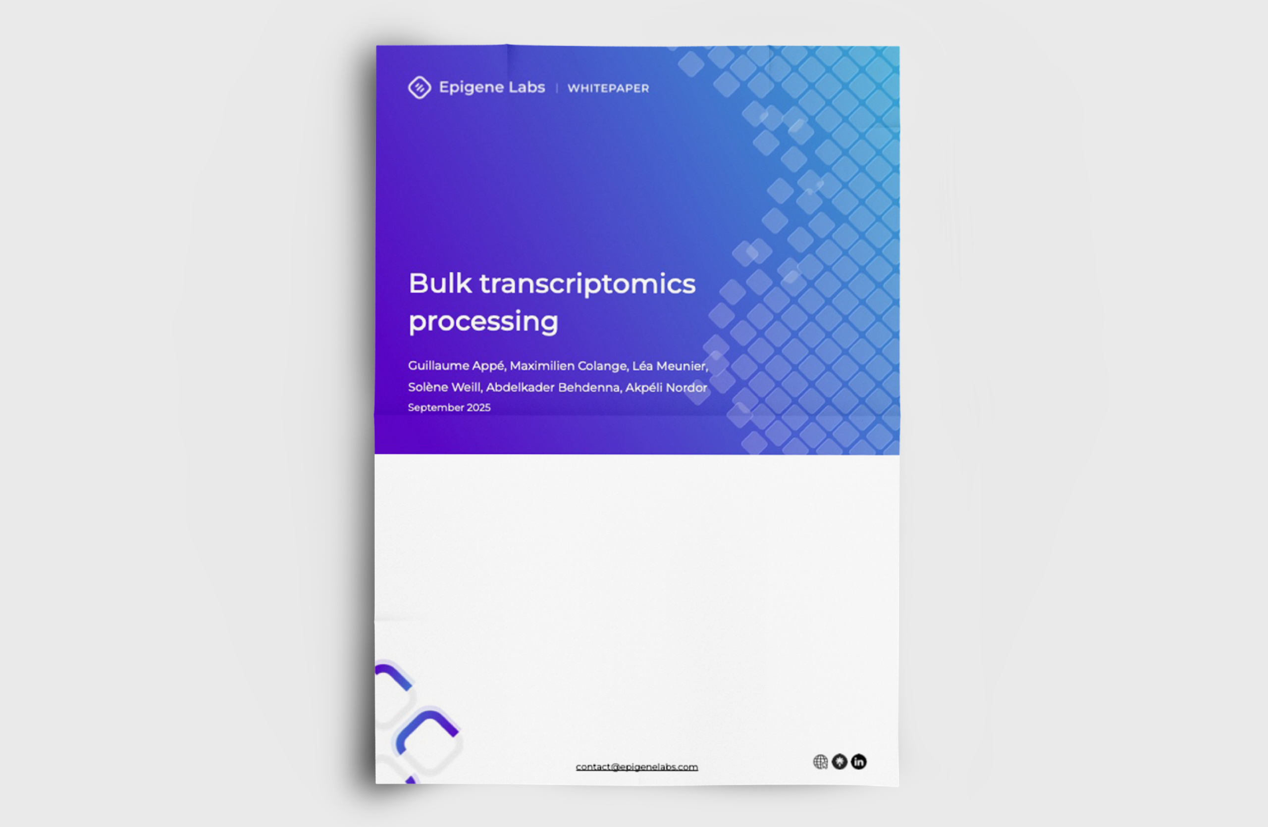 Epigene Labs White Paper – Bulk Transcriptomics Processing in Oncology